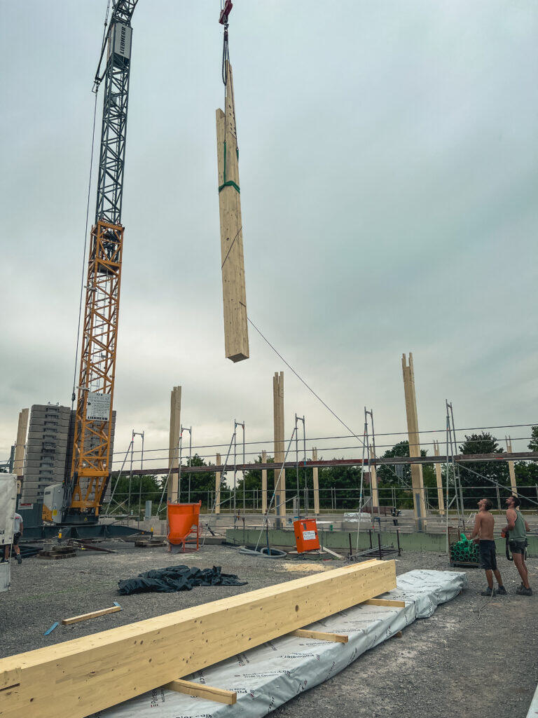 Montage der Massivholzwände aus CLT auf der Baustelle